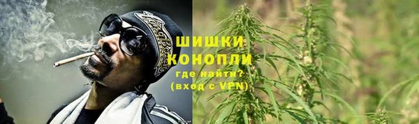 сатива Балабаново