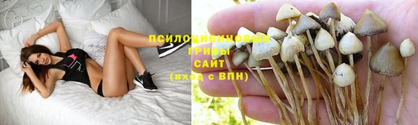 сатива Балабаново