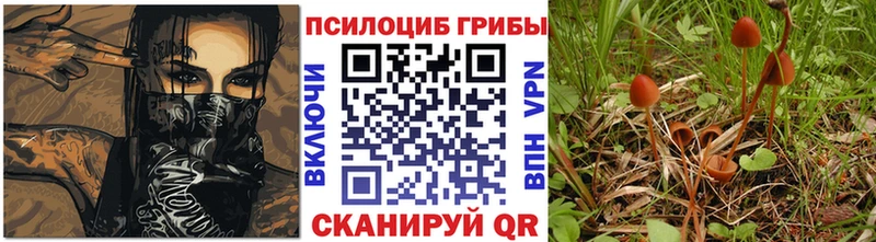 Псилоцибиновые грибы Cubensis Ленинск