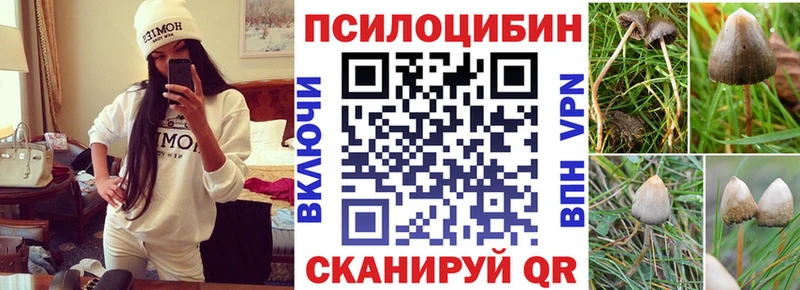 хочу   Ленинск  Галлюциногенные грибы Cubensis 